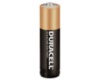 AA Batteries