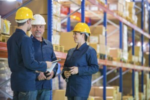 active workforce